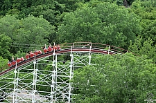 Wildcat
