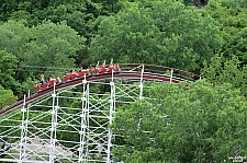Wildcat