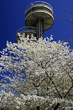 New York State Pavilion