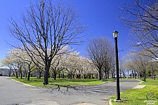 Flushing Meadows-Corona Park