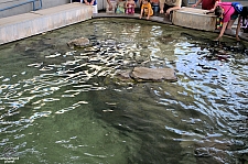 Children's Aquarium at Fair Park