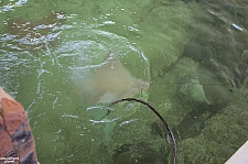 Children's Aquarium at Fair Park