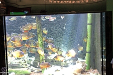 Children's Aquarium at Fair Park