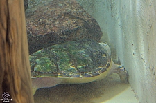 Children's Aquarium at Fair Park