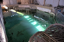 Children's Aquarium at Fair Park