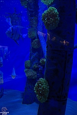 Children's Aquarium at Fair Park