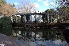 Texas Discovery Gardens