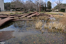 Leonhardt Lagoon