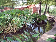 Leonhardt Lagoon