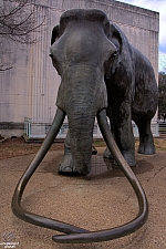 Fair Park Visitor Center