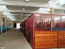 Horse Barn