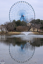 Texas Star