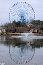 Texas Star