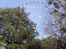 Texas Star