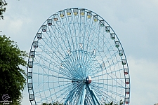 Texas Star