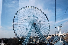 Texas Star