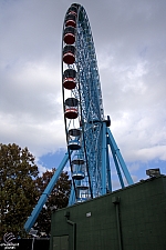 Texas Star