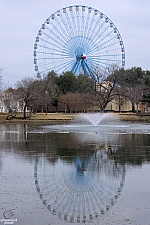 Texas Star
