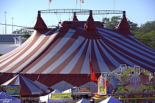 Circus