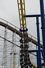 Freedom Flyer