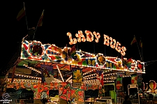 Lady Bugs