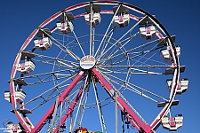 Century Wheel