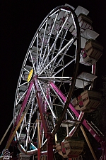 Century Wheel