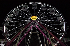 Century Wheel