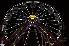 Century Wheel