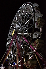 Century Wheel