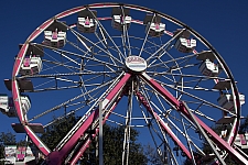 Century Wheel