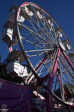 Century Wheel