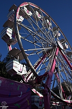 Century Wheel