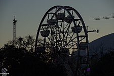 Century Wheel