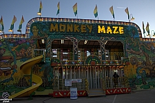 Monkey Maze