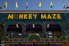 Monkey Maze