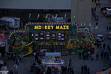 Monkey Maze