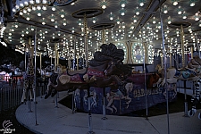 Carousel Menagerie