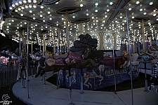 Carousel Menagerie