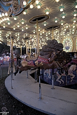 Carousel Menagerie