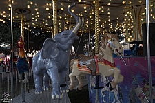 Carousel Menagerie