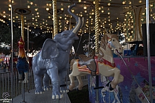 Carousel Menagerie