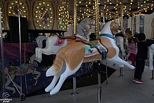 Carousel Menagerie