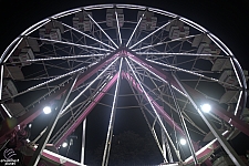 Century Wheel