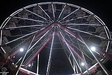 Century Wheel