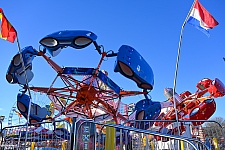 Scorpion