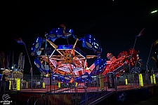 Scorpion