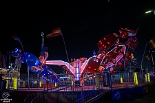 Scorpion