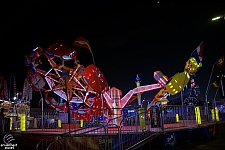 Scorpion