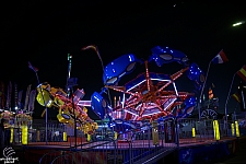 Scorpion
